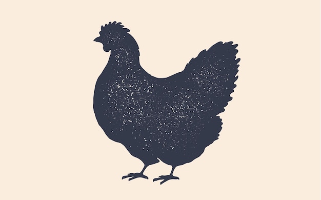 Vector hen chicken vintage logo retro print poster