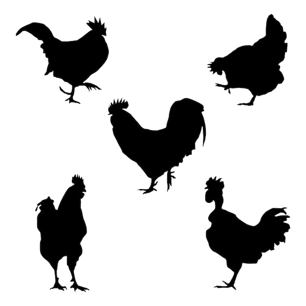 Hen and Rooster black silhouette on white background illustration