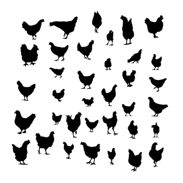 Hen silhouette set