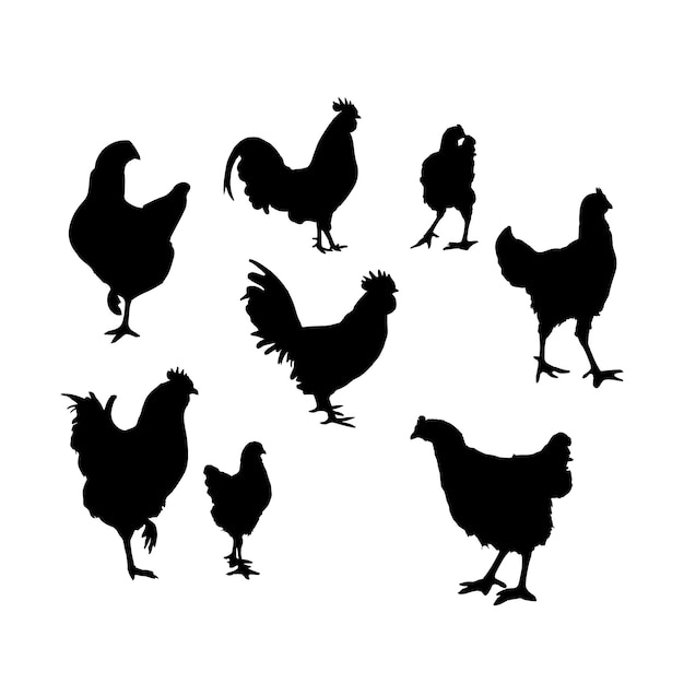 Hen silhouette set