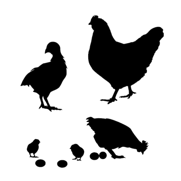 Hen Vector Silhouttee