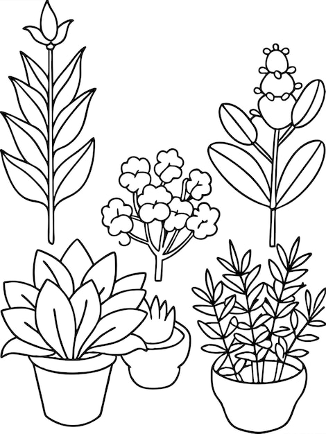 Vector herb gardens coloring pages fresh and detailed designs for garden enthusiasts