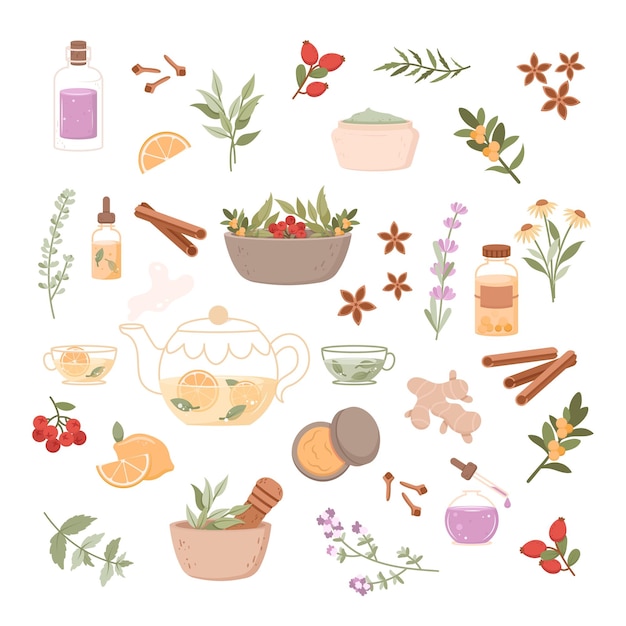 Herbal medicine illustration set Flat icon with flower spa cartoon for medical design