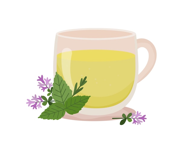 Herbal tea. Cup of tea with thyme and mint. Transparent cup with tea and floral decoration Hot drink