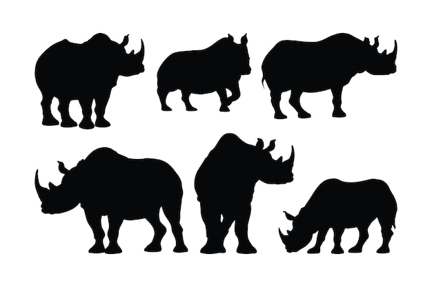 Herbivorous rhino standing silhouette on a white background Wild peaceful rhino standing in different positions Rhino full body silhouette collection Dangerous rhinoceros silhouette bundle design