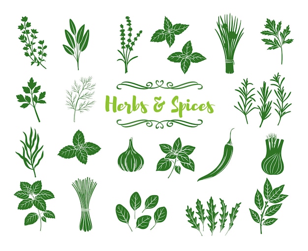 Herbs and spices glyph icons. Silhouettes popular culinary herbs, stamp print illustration.