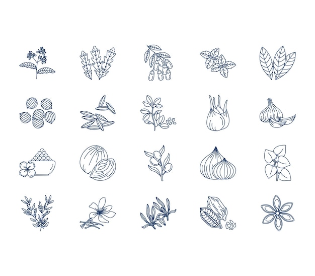 Herbs and Spices icon set