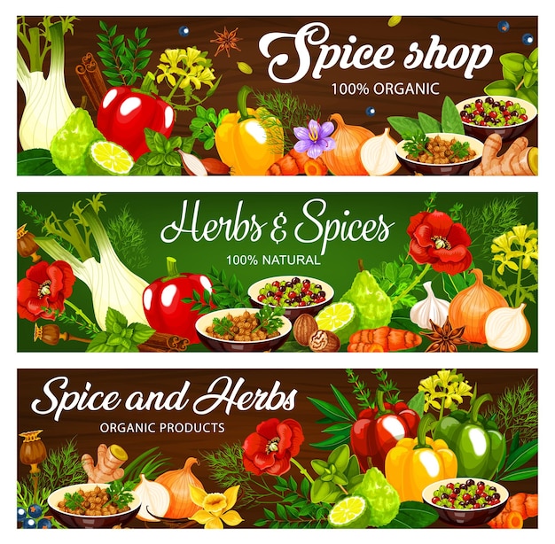 Herbs and spices illustrations with different backgrounds