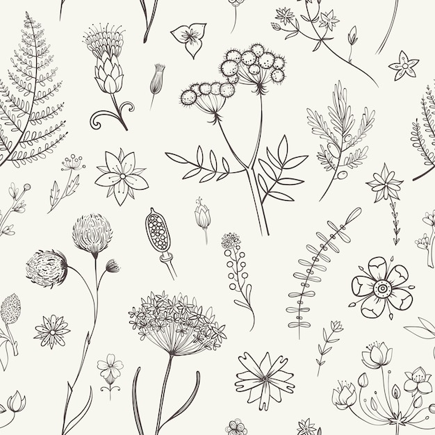 Herbs and Wild Flowers. Botany pattern