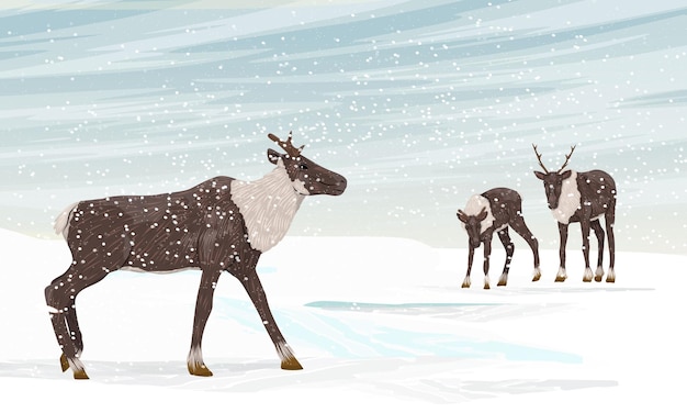 Vector herd of reindeer in a snow storm. caribou in the arctic. realistic vector landscape