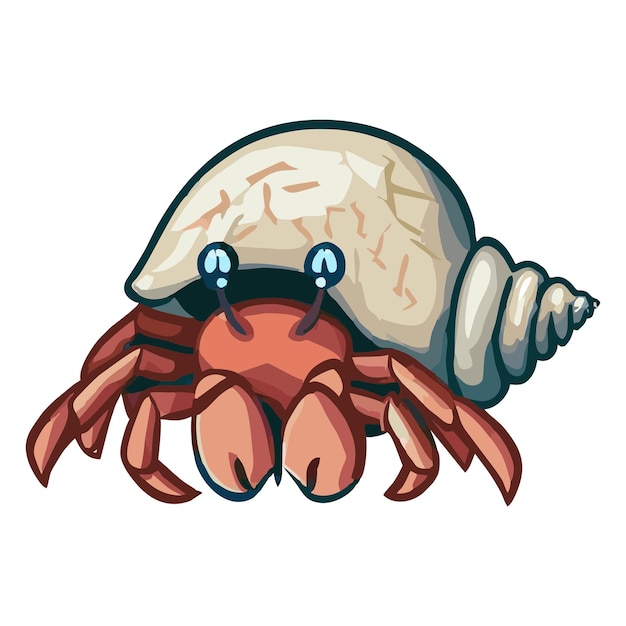 Hermit crab vector 5