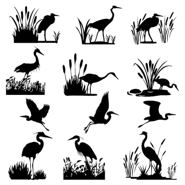 Heron birds Heron with Cattails EPS Vector Illustration for Wetland and Nature Designs