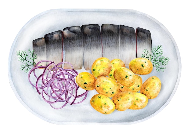 Herring slices with onions and potatoes on the plate. Watercolor illustration. Russian cuisine.