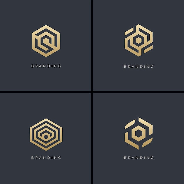 Hexagon Digital Marketing Trading Networking Vector Logo Concept