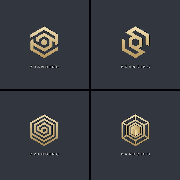 Hexagon Digital Marketing Trading Networking Vector Logo Concept