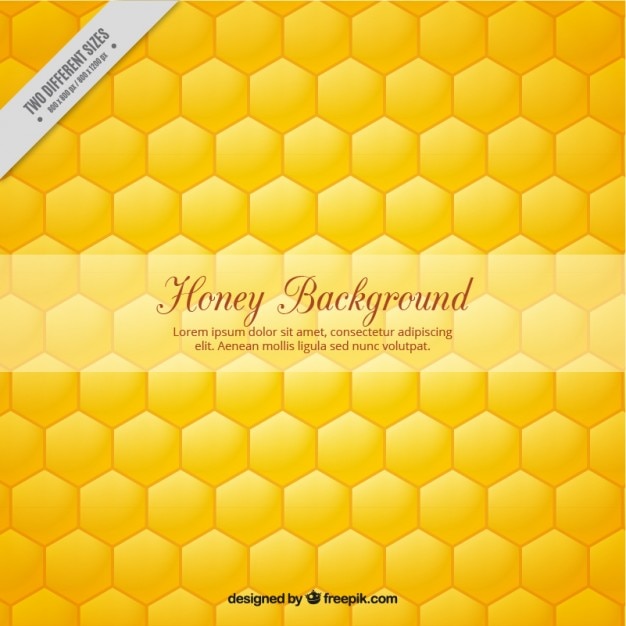 Vector hexagonal honey background