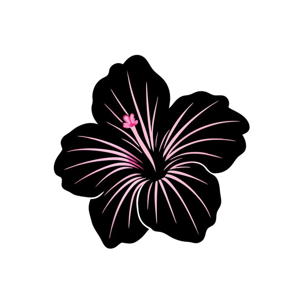 Vector hibiscus beautiful flower vector illustration