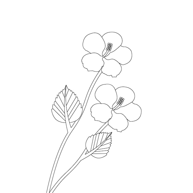 Hibiscus flower coloring page With line art flower sketch vector illustration