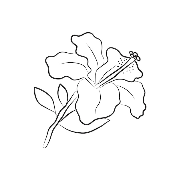 Hibiscus flower drawn by lines Isolated bud on a branch For invitations and valentine cards