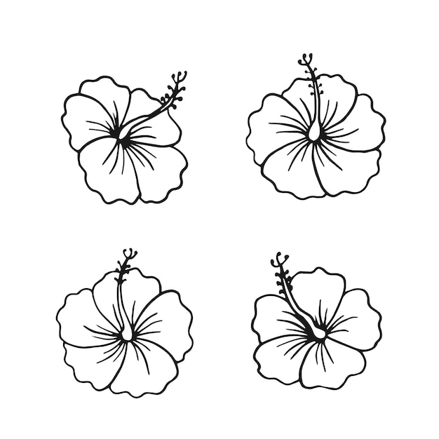 Vector hibiscus flower hand drawn illustration