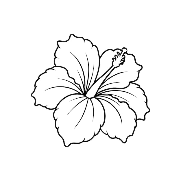 Hibiscus flower line art vector design