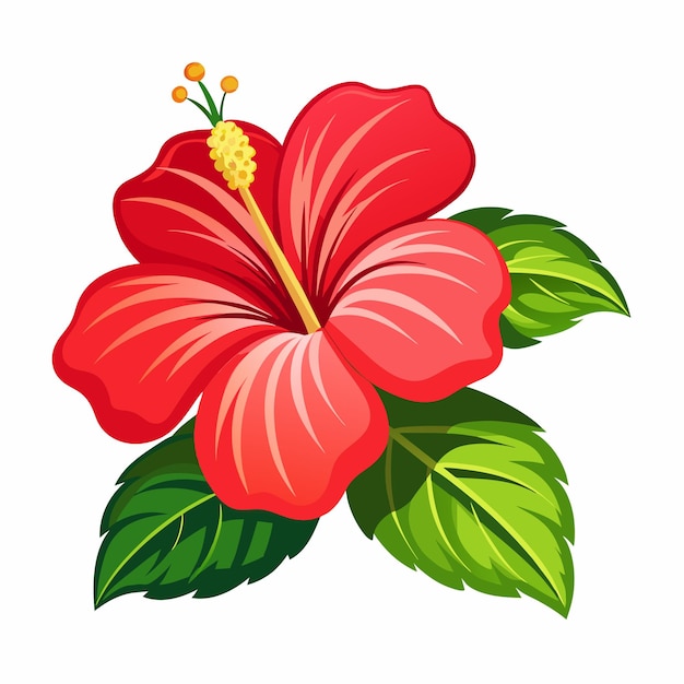 Vector a hibiscus flower vector art illustration 16