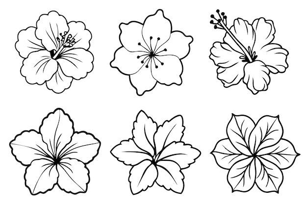 Hibiscus Line Art Artistic Floral Design Ideas