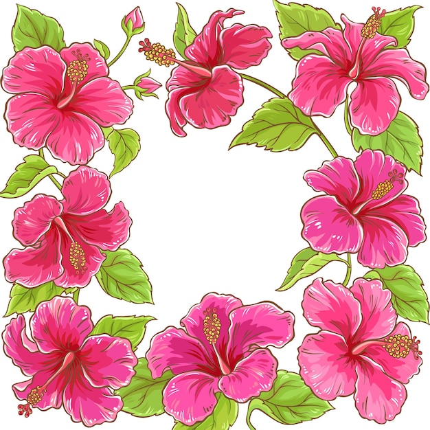 Hibiscus vector frame