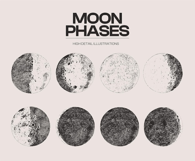 High detail sketch of moon phases, cycles, stages. Vector illustration