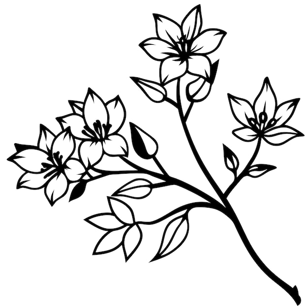 Vector high quality 2d vector illustration of a black silhouette branch with flowers on white background