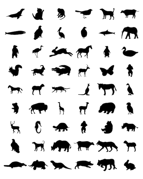 Vector high quality modern and flat vector glyph icon pack of animals on isolated background