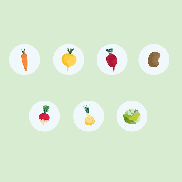 Highlights vegetables vector illustration highlights set for instagram