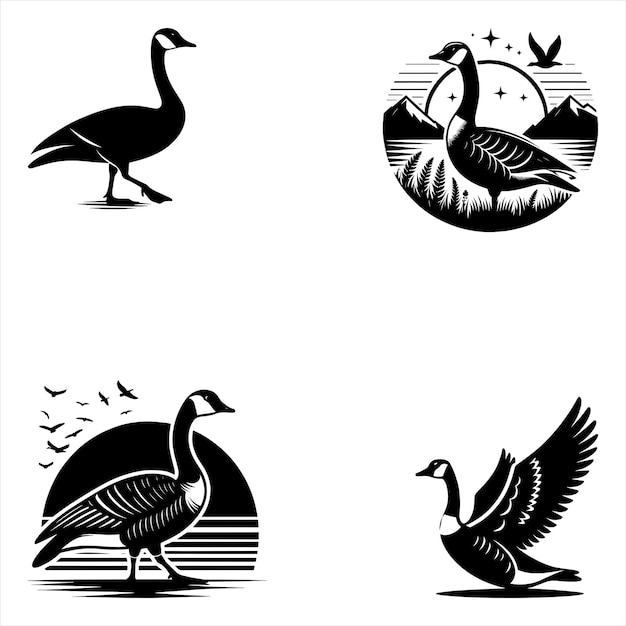 Vector highquality canada goose bird vector