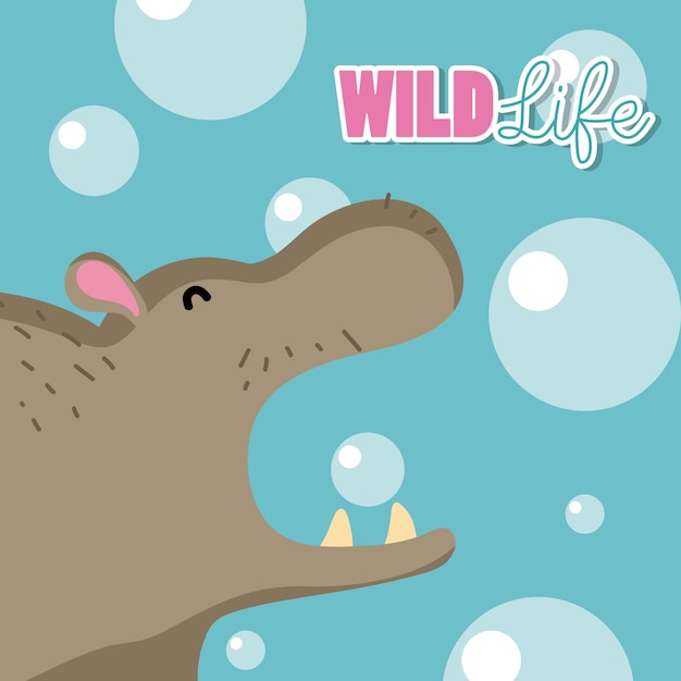 Hippo wildlife animal cute cartoon 