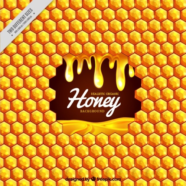 Vector hive background with honey 