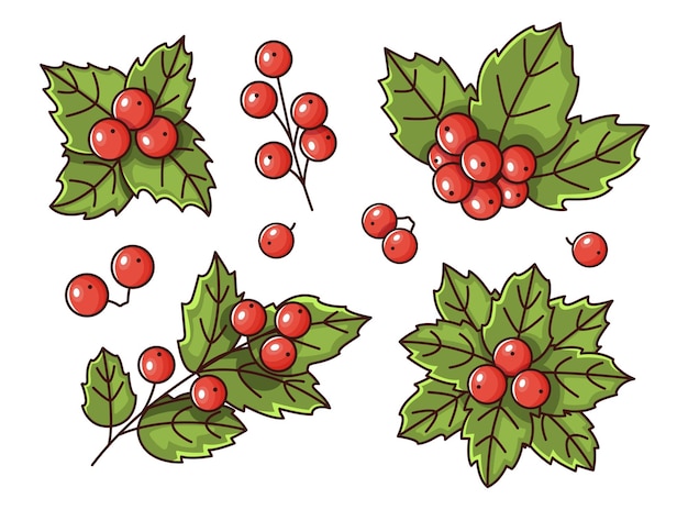 Holly berry Christmas vector set winter plant fruits on a white background