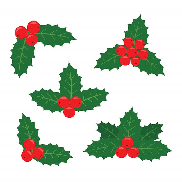 Holly plant set for cards