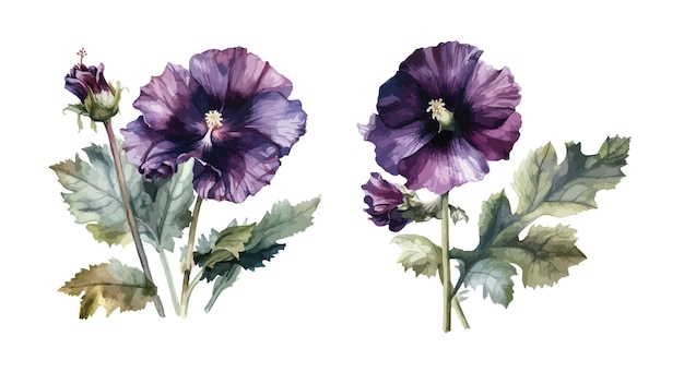 Hollyhock flower clipart isolated vector illustration