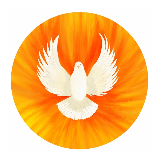 Holy Spirit symbol dove with halo and rays of light symbols of the gifts of the Holy Spirit