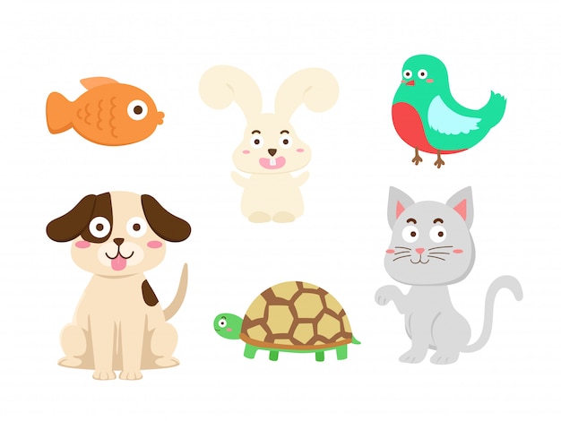 Home animals vector