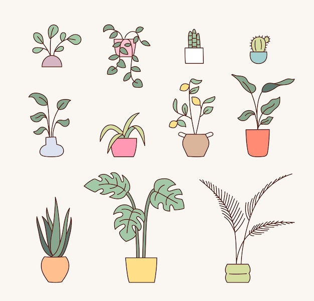 Home decoration flowerpot collection flat design style vector illustration