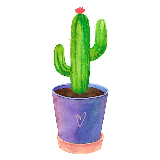 Home plant cactus in flower pot watercolor vector illustration isolated on a white background