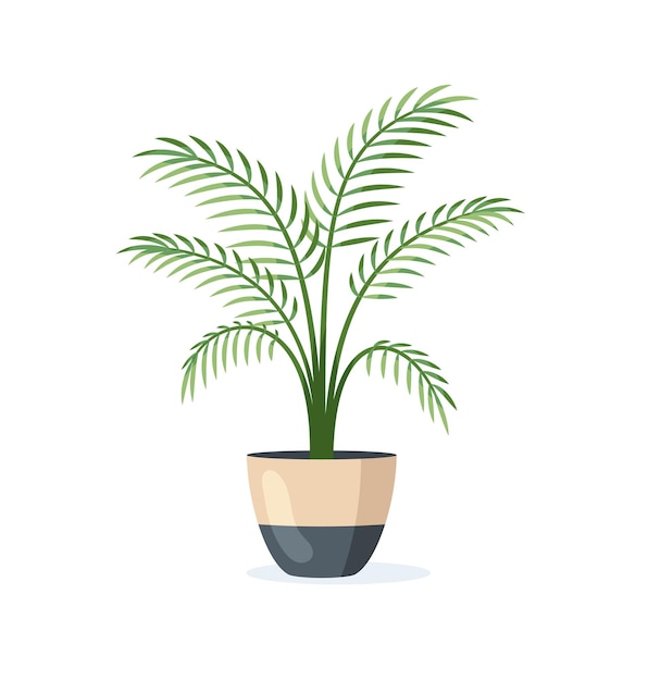 Home plant in flower pot isolated on white background in flat style