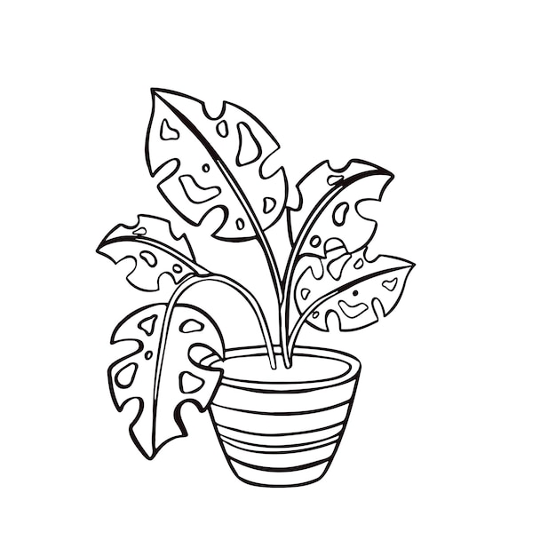 Home plant for interior outline illustration