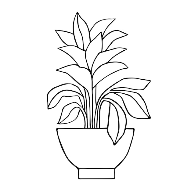 Home plant in a pot black and white contour drawing