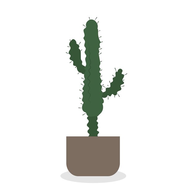 Vector home plant in pot cute flat cartoon illustration