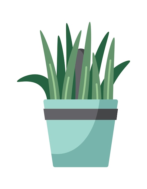 Home plant in a pot flat illustration