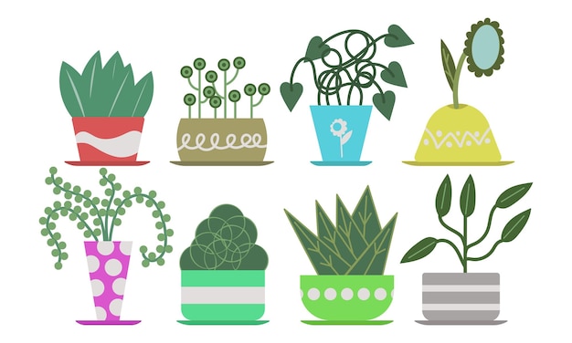 Home plant set decor jungle House collection planter succulent urban pot vector illustration