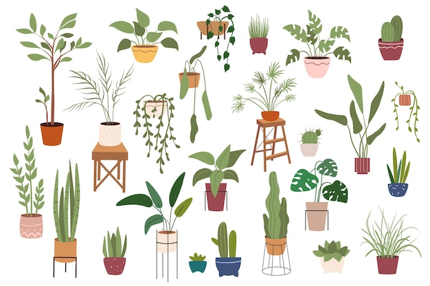 Home plants in pots isolated scenes set