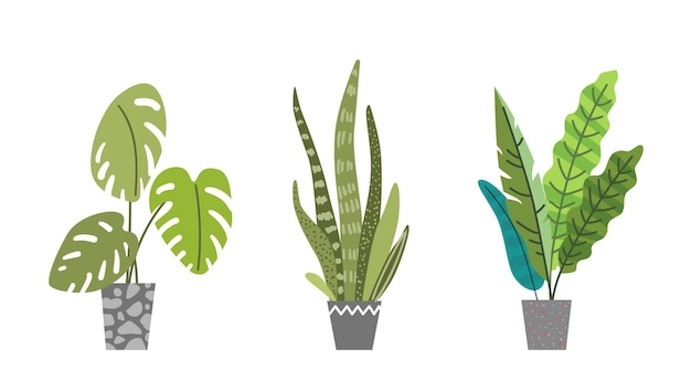 Home plants set Colorful illustration for your design